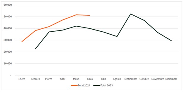 grafico biki