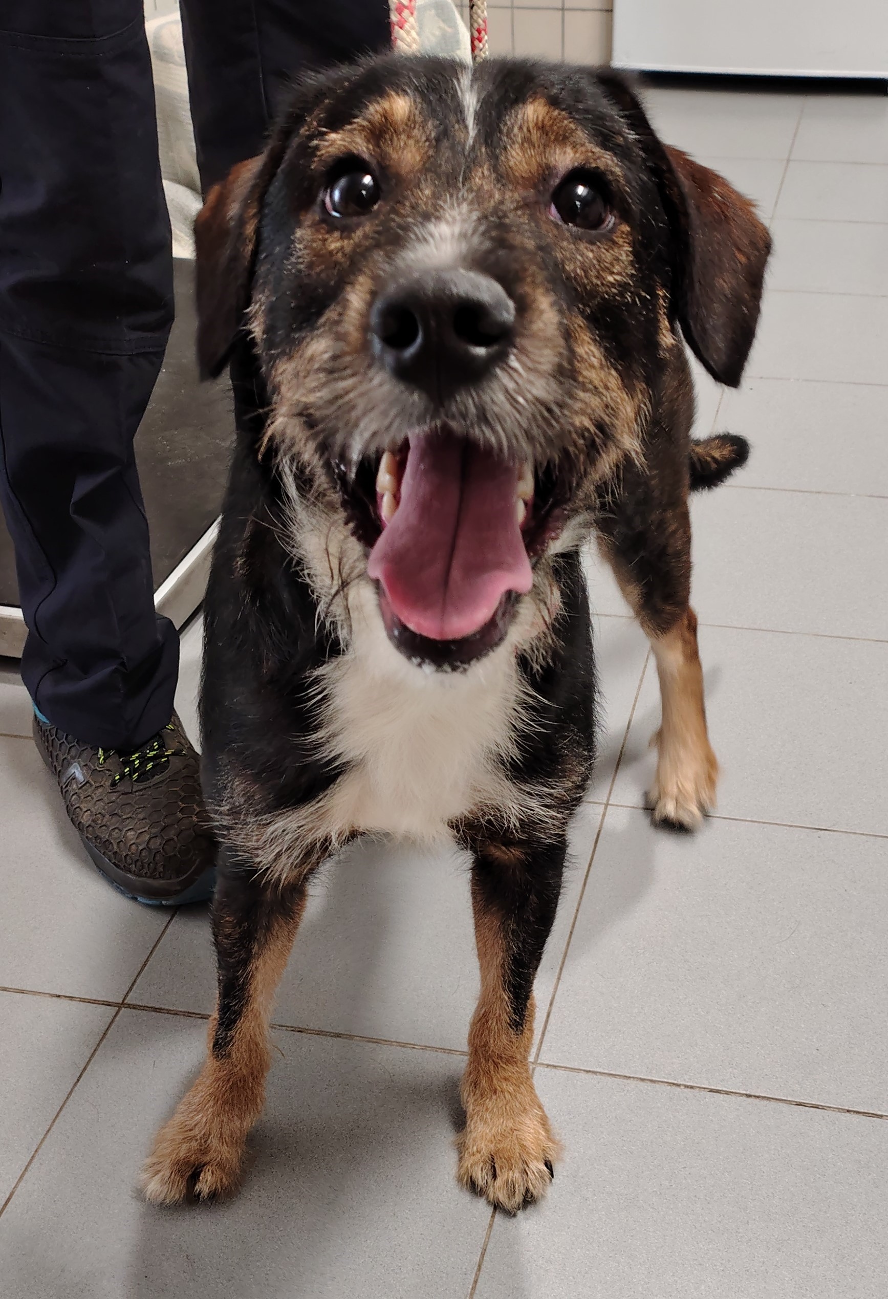 PUMBA
