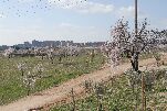 Uno de los caminos del Parque Cerro de las Contiendas, donde se celebrará la prueba