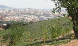 Vista desde Parque de Las Contiendas