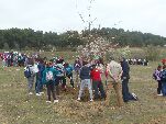 Escolares plantando en el cerro de las Contiendas