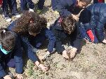 Alumnos del colegio "Juan XXIII" durante la plantación