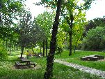 Una vista del parque