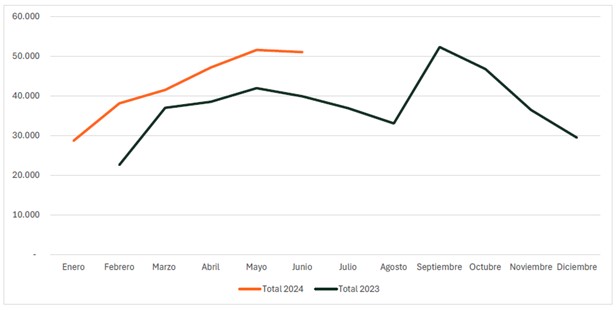 grafico biki
