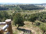 Vista desde el parque forestal del Cerro de Las Contiendas